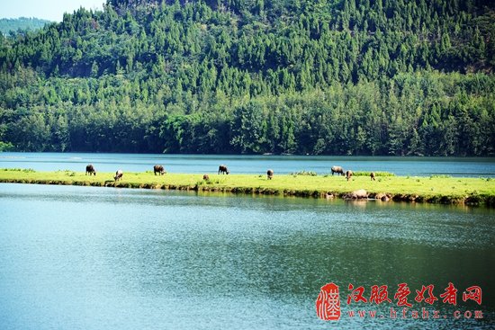 4月28日相约蓬安 观“百牛渡江” 赏“高空特技”