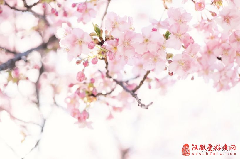 分享：20日汉服配饰每日商情