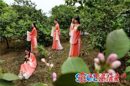 看镜头里的最美柠檬花仙子 一大波古装美女高清照来袭