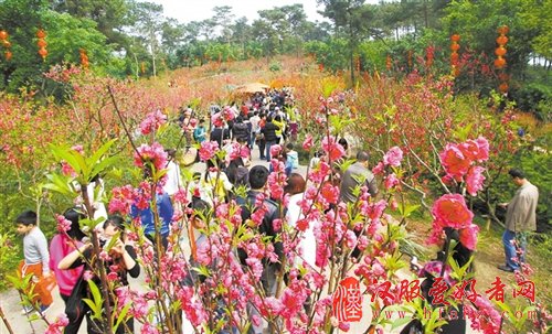 南宁青秀山邀您登上桃花岛 享汉服表演(组图)