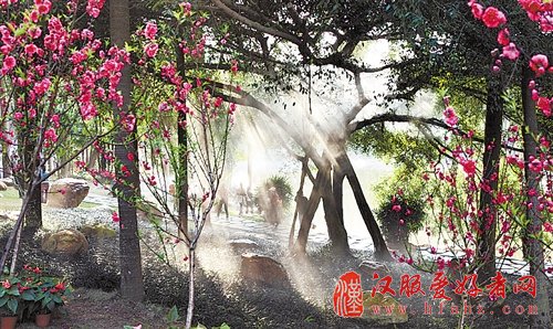 南宁青秀山邀您登上桃花岛 享汉服表演(组图)