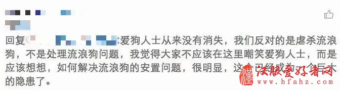 湘潭大学校长回应“流浪犬咬人事件”