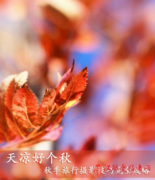 天凉好个秋──秋季旅行摄影技巧完全攻略