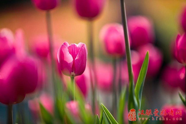 拒绝平凡 这些技巧能让你的照片更好看 