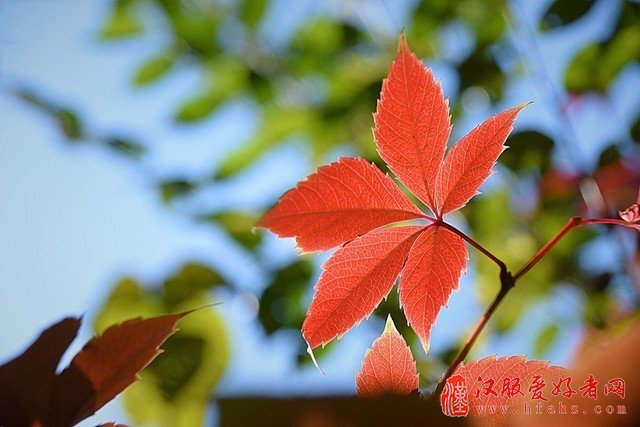 拒绝平凡 这些技巧能让你的照片更好看 