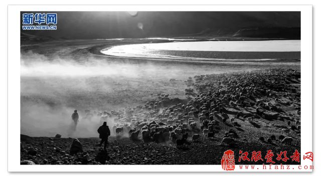 藏族摄影家丨无需PS 他们拍摄的西藏照片美哭了