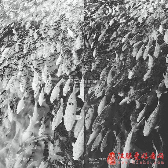 Phone摄影:带着手机去看樱花 这些技巧你可能用得