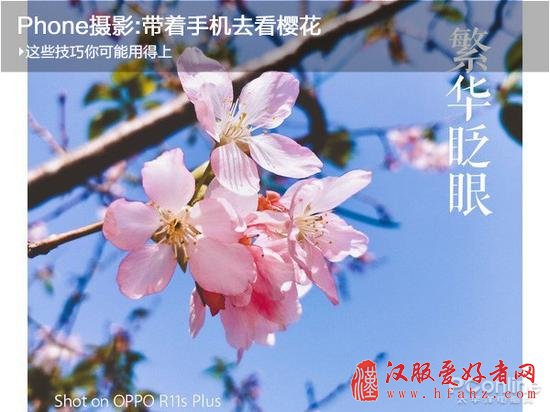 Phone摄影:带着手机去看樱花 这些技巧你可能用得