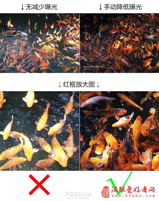 Phone摄影:带着手机去看樱花 这些技巧你可能用得