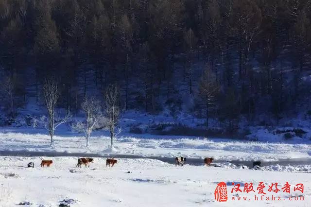 一场初雪，可以这样拍，雪景拍摄的7个技巧