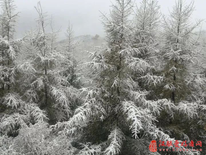 一场初雪，可以这样拍，雪景拍摄的7个技巧