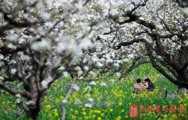 真实用！10种常见摄影场景的单反相机设置技巧！