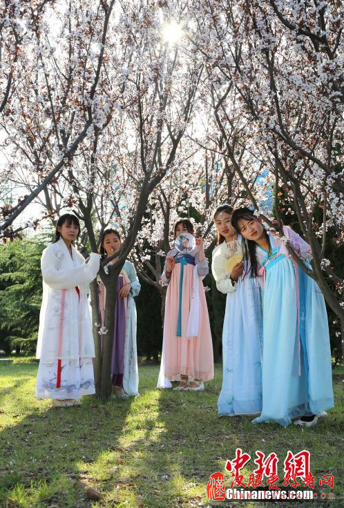 女大学生在校园穿汉服吟诗经 跳汉舞(图)