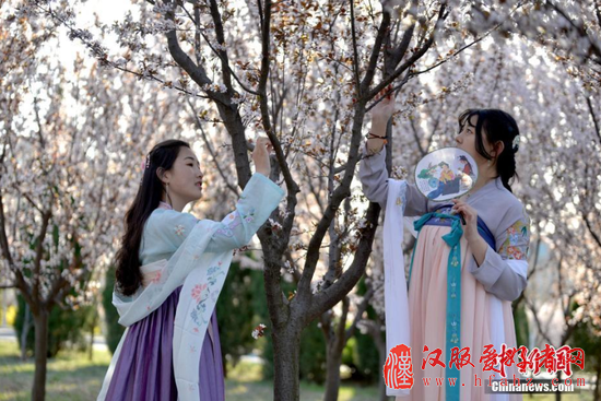 女大学生在校园穿汉服吟诗经 跳汉舞(图)