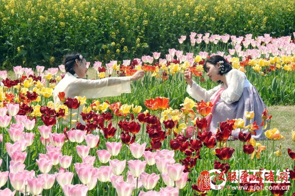 千人穿汉服共庆百花生日2018中国杭州·西溪花朝节惊艳亮相