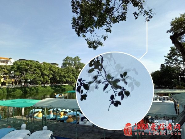 摄影学院:手机HDR模式怎样才能拍出风景画