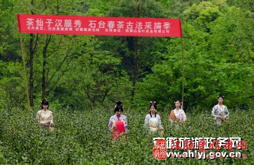 汉服茶仙子相约石台富硒生态茶园演绎古法采摘