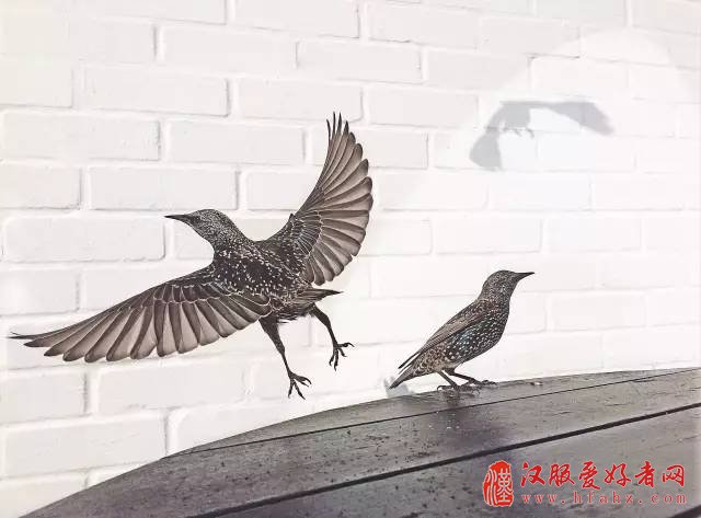 史上最完整的手机摄影教程