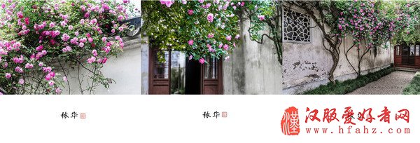 手机拍照能吸粉？告诉你摄影达人是这样炼成的
