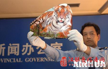 野生动物摄影家质疑华南虎照后期处理另有其人